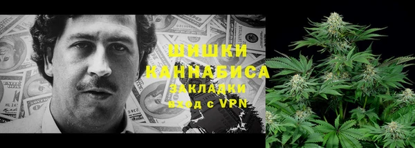 mdma Белокуриха